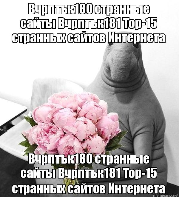 Kraken 14 at сайт