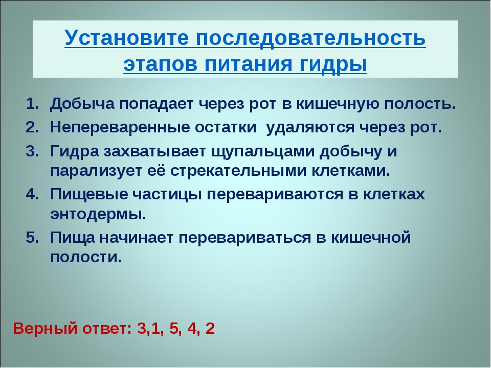 Kraken ссылка на сайт актуальная