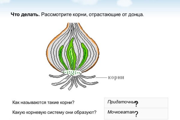 Скачать кракен тор